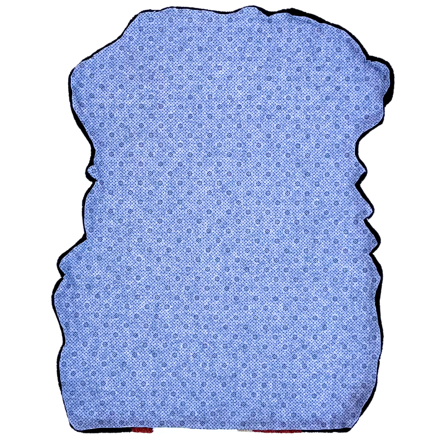 Animal domestique (Bouvier Bernois)