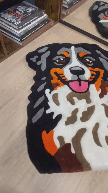 Huisdier (Berner Sennenhond)